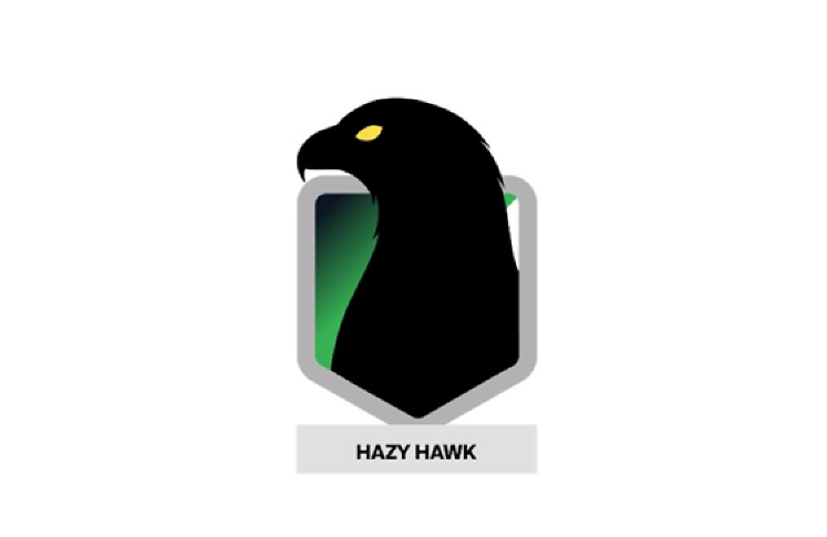 Logo van Hazy Hawk, cybercriminlen die verlaten cloudresources aanvallen
