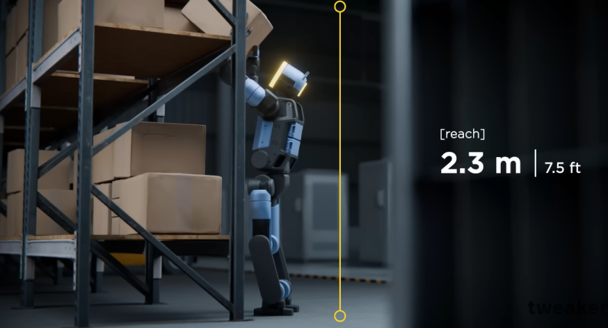 Afbeelding: Visual met het werkbereik van een robotarm: 2,3 meter (7,5 ft)