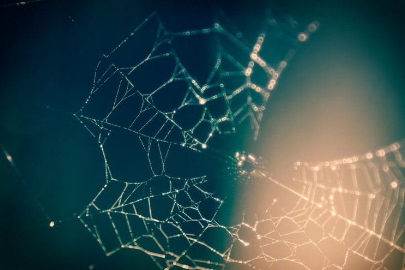 Den Haag volledig over op 5G