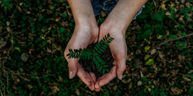 De TCS Sustainathon moedigt jonge geesten aan om milieuproblemen aan te pakken middels technologie