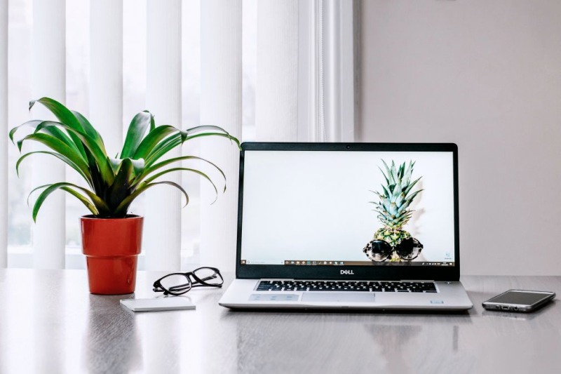 Ruim de helft Nederlandse digitale professionals bezorgd over de beveiliging van hun CMS