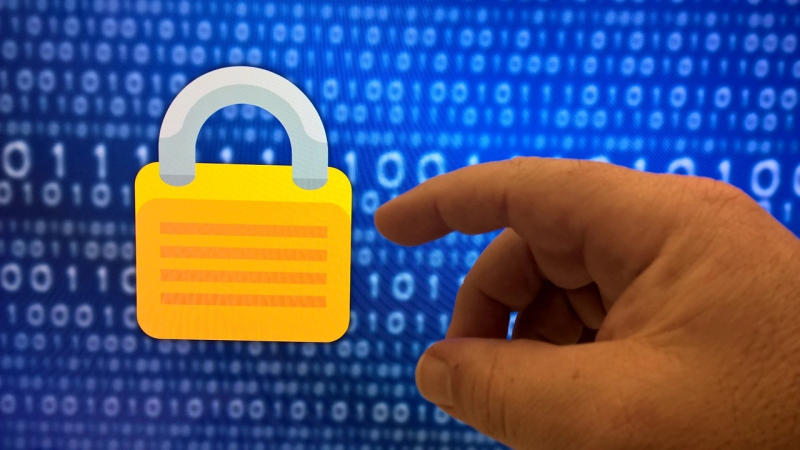 Red flags - bij welke platformen en diensten maken internetgebruikers zich het meest zorgen over hun privacy?