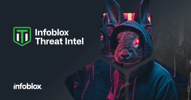 Onderzoek: cybercrime-actor Revolver Rabbit investeert miljoen in legitieme registratie van malafide domeinen