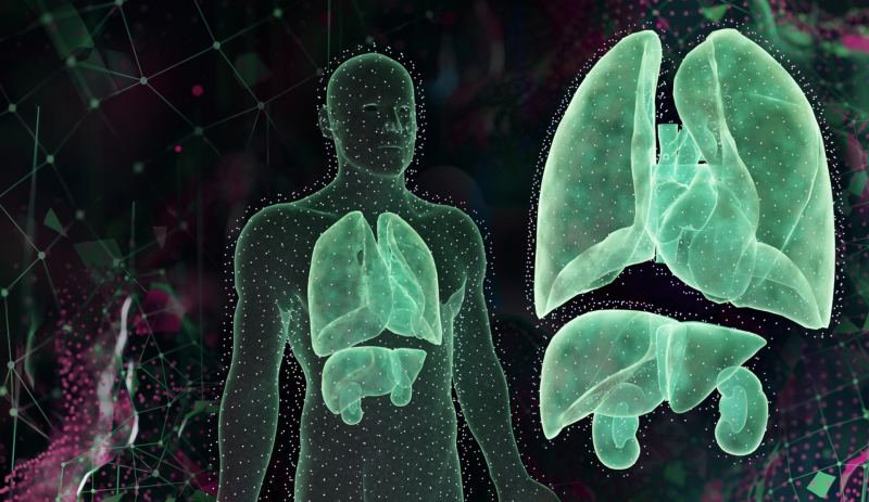Pirche start uitbreiding van AI algoritme voor succesvolle orgaantransplantaties 