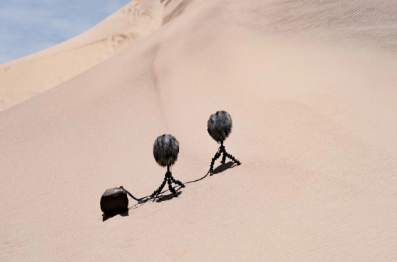 Sennheiser geeft een voorproefje van de MKH 8030 achtvormige RF-condensatormicrofoon