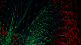 Cybersecuritybudget Nederlandse organisaties schiet tekort