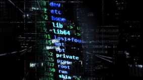 Daling meldingen cybercrimedelicten in Nederland