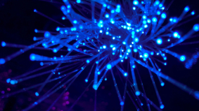 De revolutie van slimme IoT-oplossingen