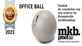 Office Ball