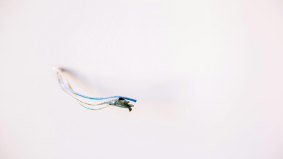 Social medium Gab offline na aanslag