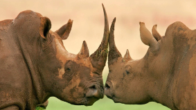 10 redenen waarom je voor een IT- en security-training van TSTC kiest