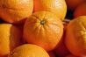 Nepfruit meet temperatuur tijdens transport