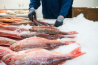 Inspectie bevroren vis vrijwel 100% nauwkeurig met 3D-sensoren van Zebra Technologies