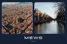 Mews breidt uit met nieuwe kantoren in Amsterdam en Barcelona